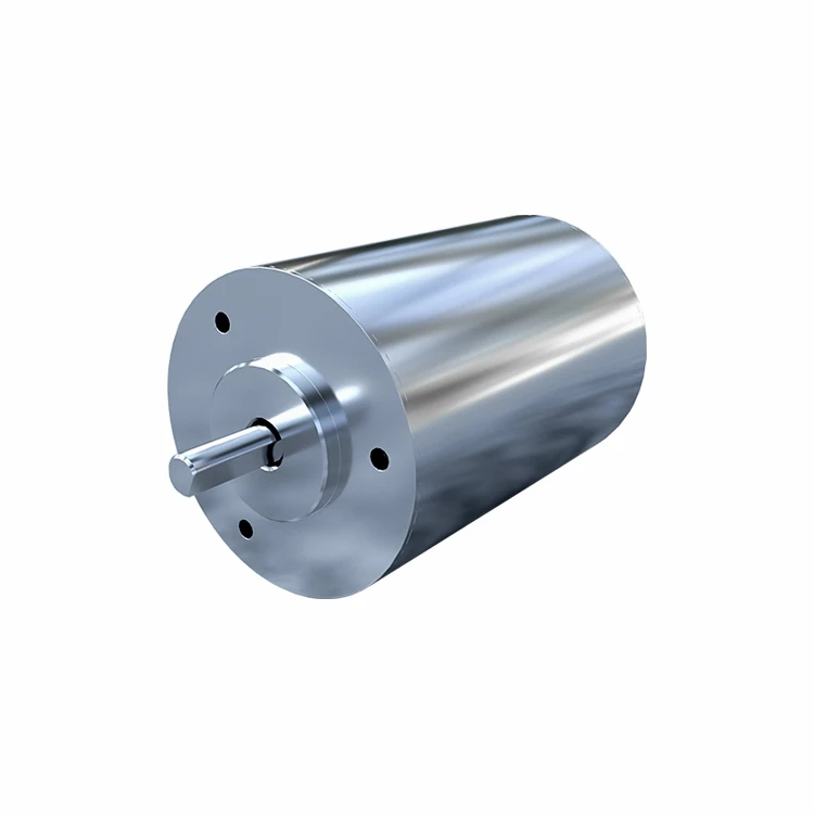 Non Inductive DC Brushless Motor